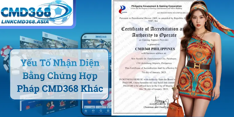 Yếu Tố Nhận Diện Bằng Chứng Hợp Pháp CMD368 Khác