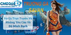 Đá Gà Trực Tuyến Và Những Yêu Cầu Về Độ Minh Bạch