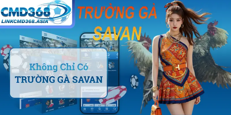 Hệ Thống Cá Cược Toàn Diện: Không Chỉ Có TRƯỜNG GÀ SAVAN