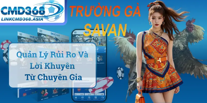 Quản Lý Rủi Ro Và Lời Khuyên Từ Chuyên Gia